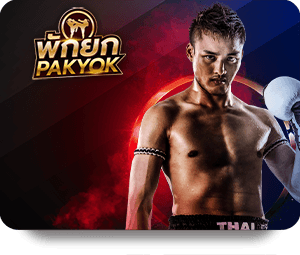 Join the K9Win สล็อต Community for Unforgettable Gaming Experiences
